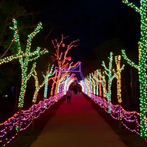 Exciting Holiday Fun Awaits at Riverbanks Zoo's Wild Lights Celebration in Columbia!