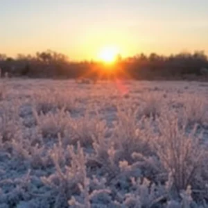 Frost-covered landscape with winter sunrise in South Carolina.