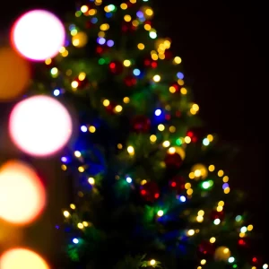 Exciting Festivities Await at Forest Acres' 20th Annual Sweet Seasons Christmas Tree Lighting Event!