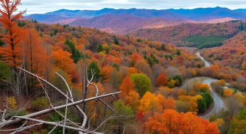 Hurricane Helene’s Aftermath Causes Drop in NC Mountain Tourism