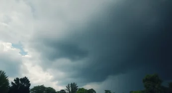West Columbia Closes City Parks Due to Severe Weather